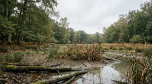 Écosystème naturel français affecté par le changement climatique avec espèces en déclin